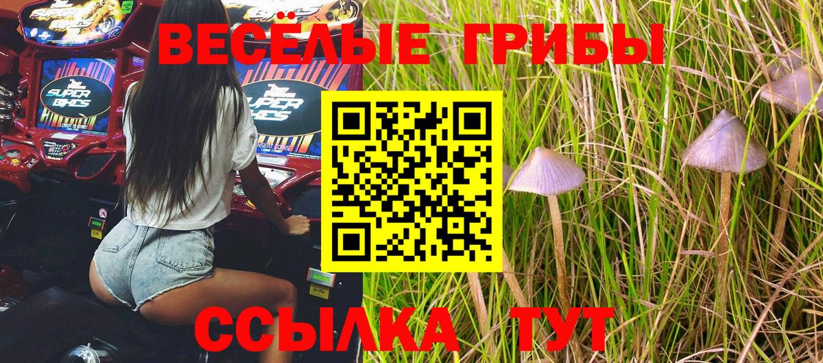 Псилоцибиновые грибы Psilocybine cubensis Качканар