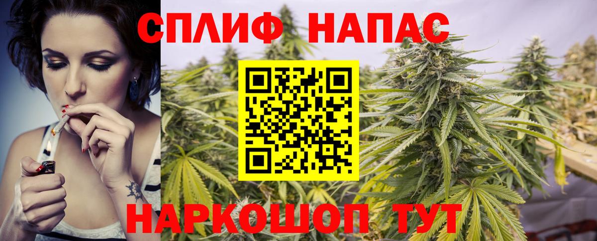 Марихуана семена Качканар